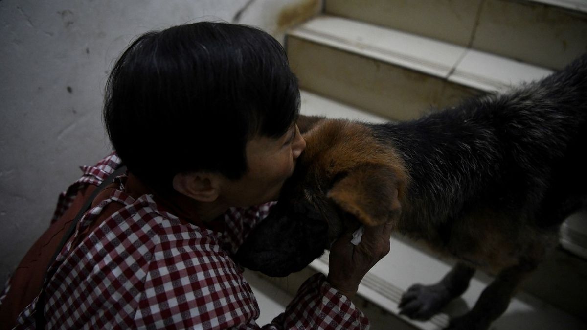 Čínská důchodkyně pečuje o více než 1300 psů